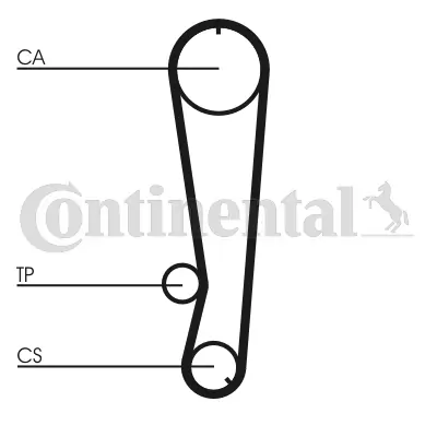 Timing Belt